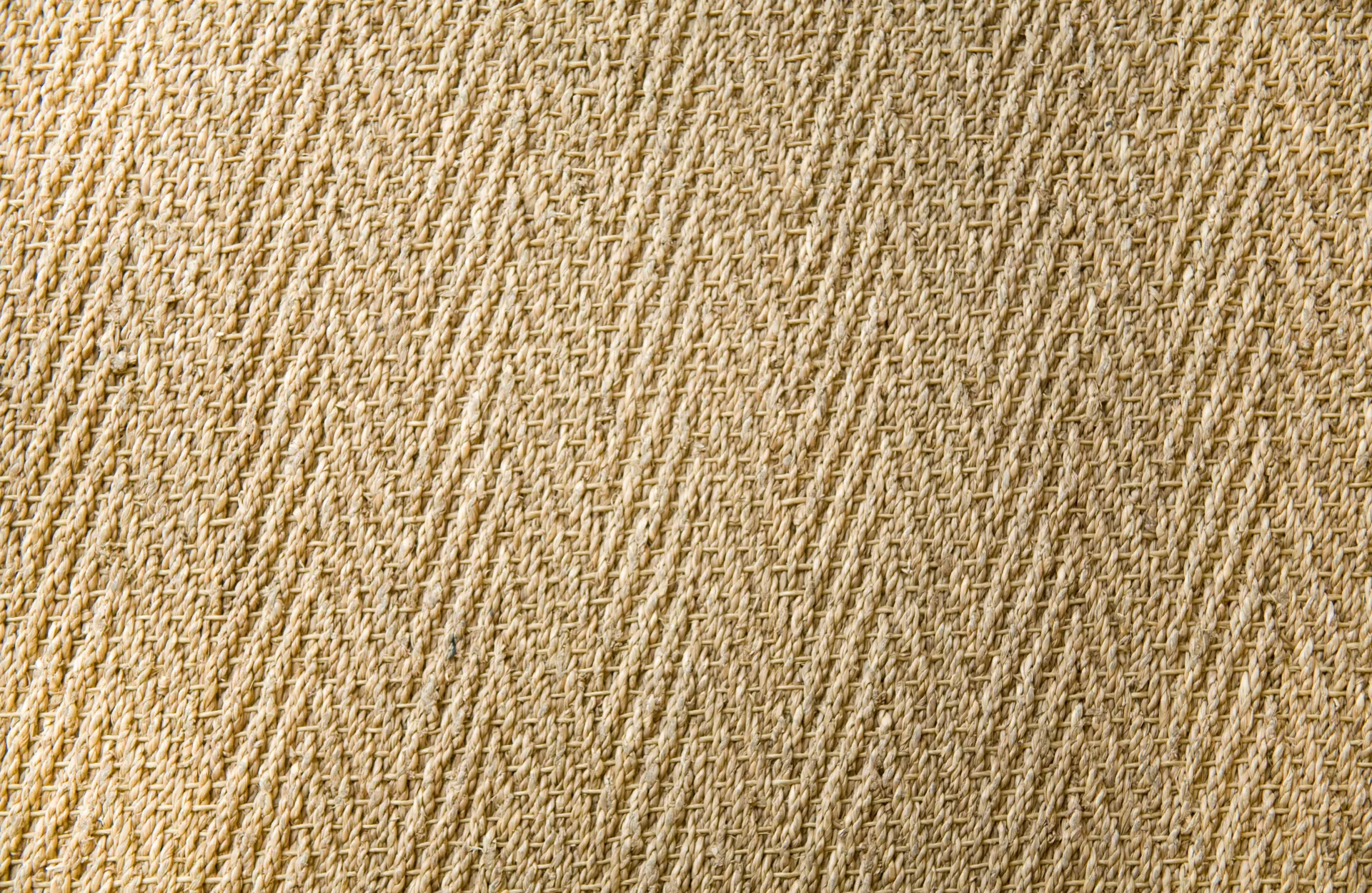 Hemp Rugs pros and cons